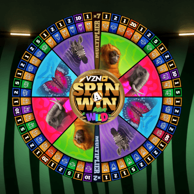 VZN Spin A Win Wild